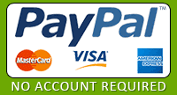 Secure Online Payments PayPal and Google Checkout